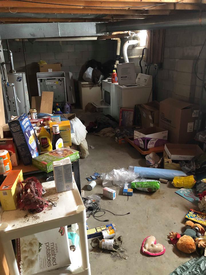 Tenant Eviction Clean-Up